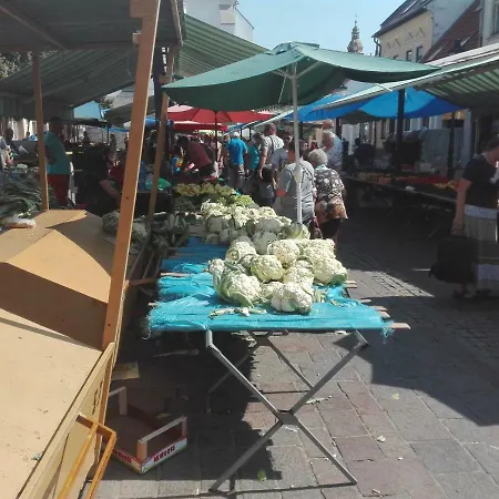 Centrum Kukucinova6 דירה קושיצה